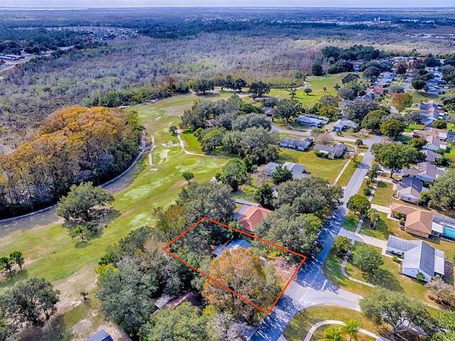 12534 WEDGEFIELD DRIVE, Grand Island, FL 32735