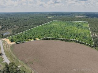 60+/- AC Luther Carter Rd., Petal, MS 39465