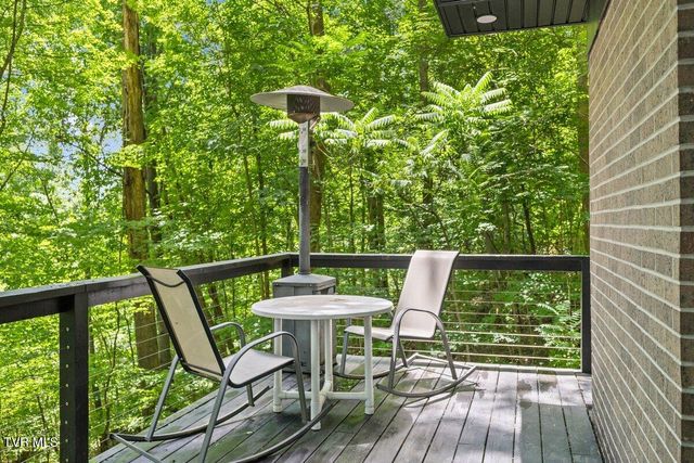 2 Wanee Court, Johnson City, TN 37601