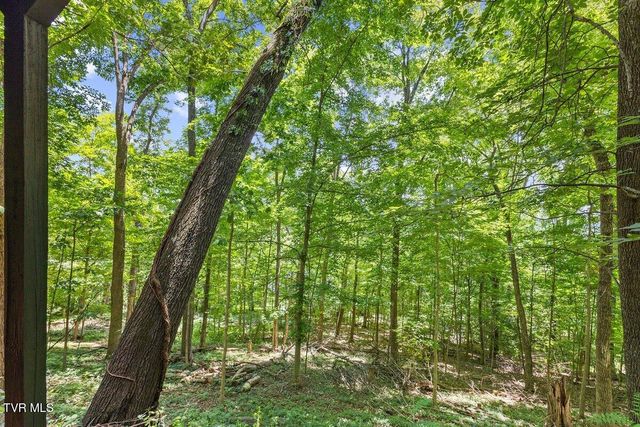 2 Wanee Court, Johnson City, TN 37601