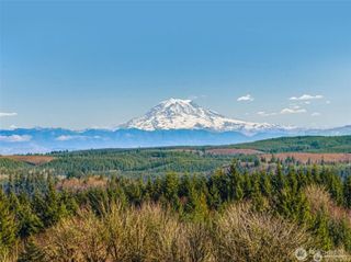 306 Dax Spur ***Lot only**** Road #Rd, Castle Rock, WA 98611
