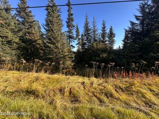 002 East End Road, Homer, AK 99603