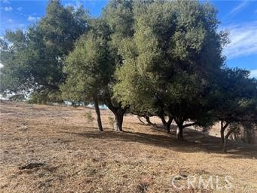 42800 Calle Capistrano, Temecula, CA 92590 — photo 4