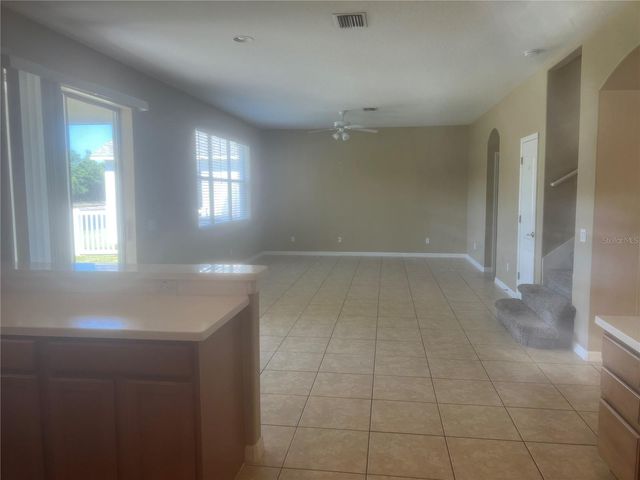 19036 FISHERMANS BEND DRIVE, Lutz, FL 33558