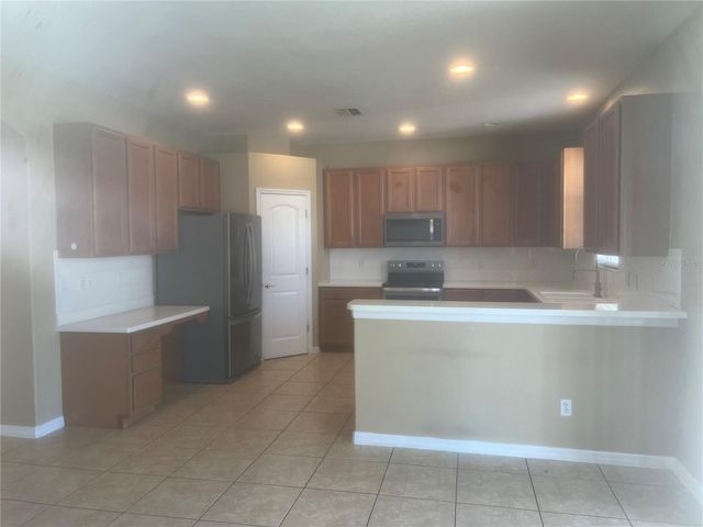 19036 FISHERMANS BEND DRIVE, Lutz, FL 33558