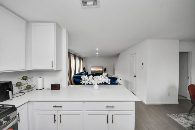 28910 Texas Sparrow Lane, Hockley, TX 77447