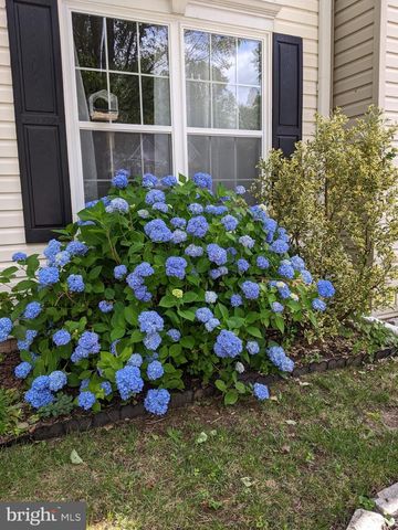 725 SHALLOW RIDGE CT, Abingdon, MD 21009