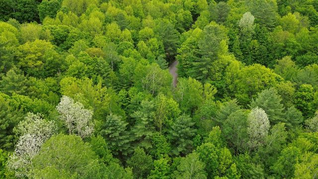 7 Sugar Hill Road, Underhill, VT 05489