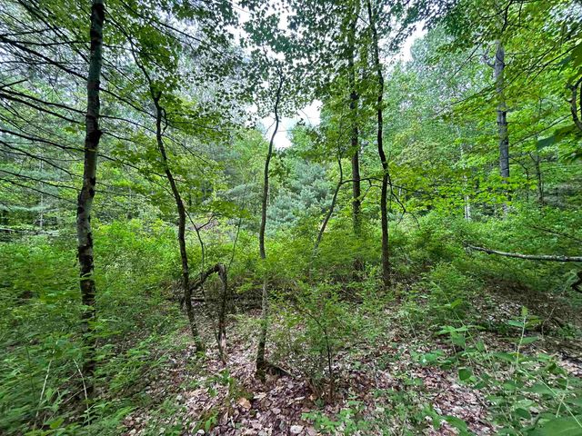 7 Sugar Hill Road, Underhill, VT 05489