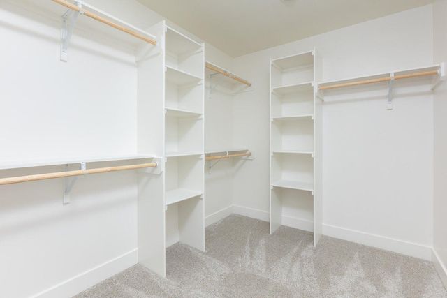 2822 MISTY FLOWER DR, Columbia, MO 65203