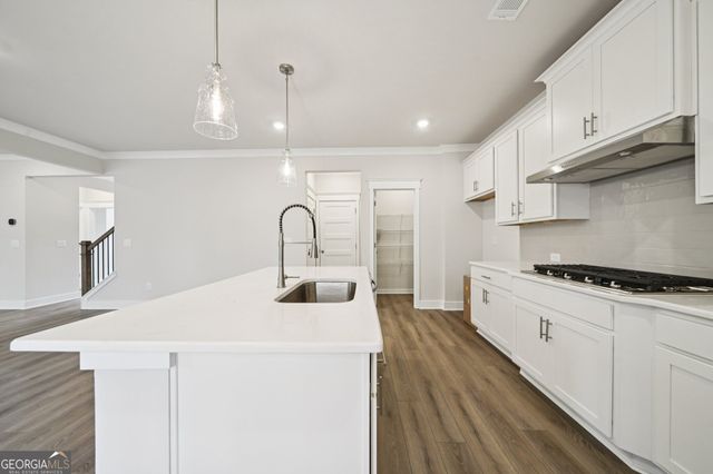 658 Winding Rose Drive, Hoschton, GA 30548