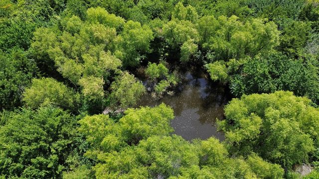 1528 County Road 697, Farmersville, TX 75442