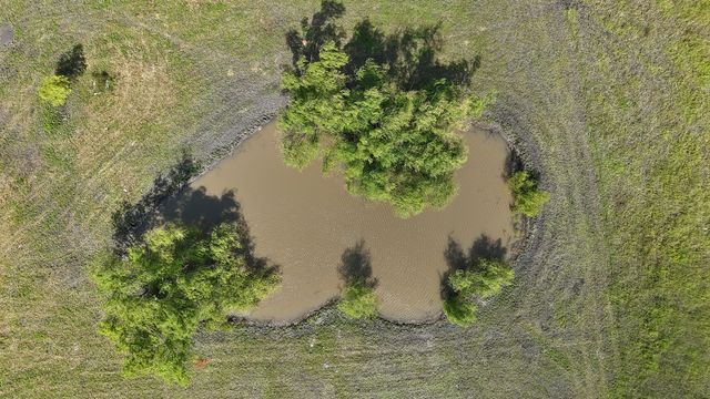 1528 County Road 697, Farmersville, TX 75442