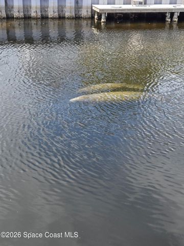 2245 Chevalier Place, Merritt Island, FL 32952