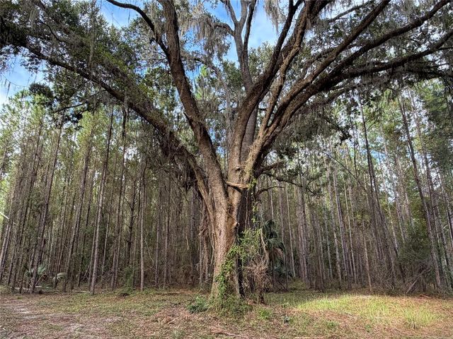 TBD NW 160TH ST, Reddick, FL 32686