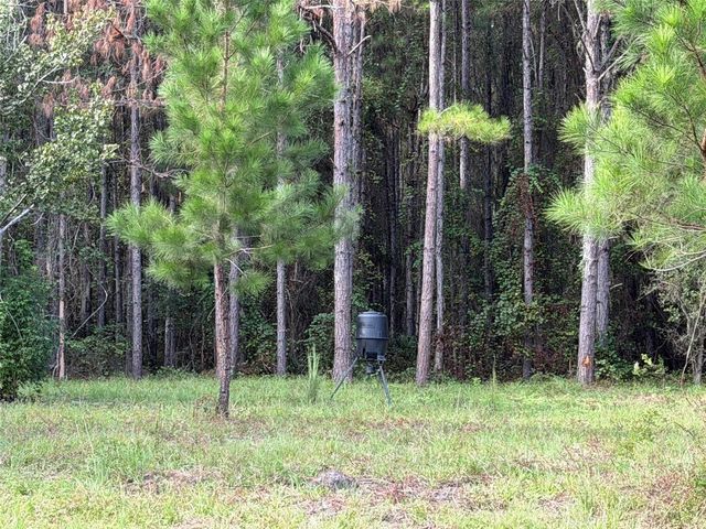 TBD NW 160TH ST, Reddick, FL 32686