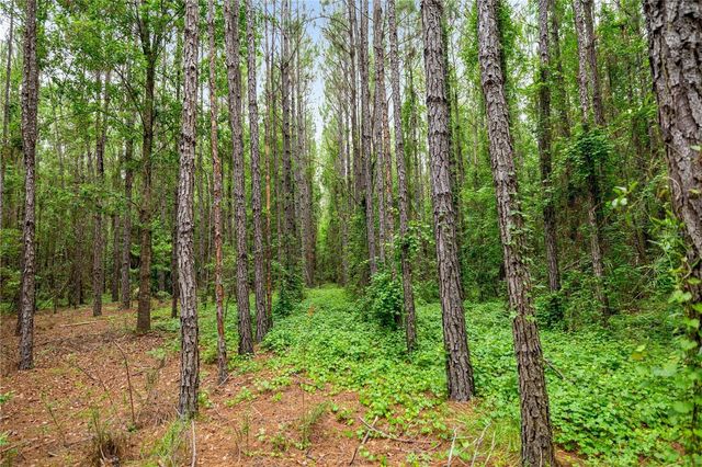 TBD NW 160TH ST, Reddick, FL 32686