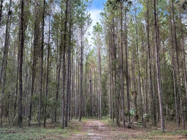 TBD NW 160TH ST, Reddick, FL 32686