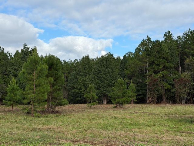 TBD NW 160TH ST, Reddick, FL 32686