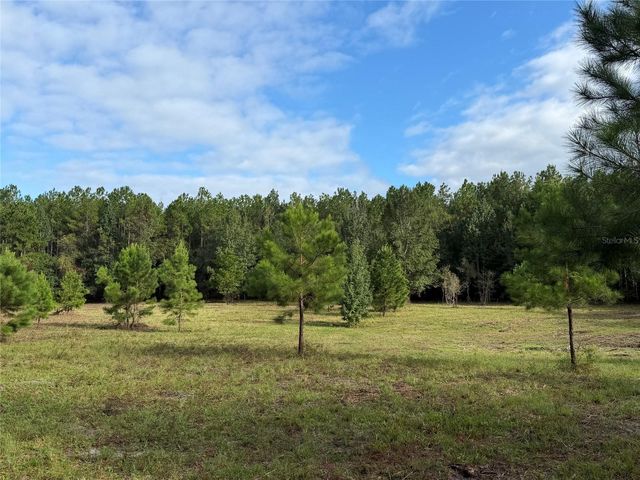 TBD NW 160TH ST, Reddick, FL 32686