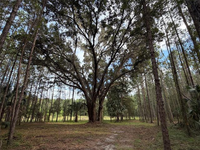 TBD NW 160TH ST, Reddick, FL 32686