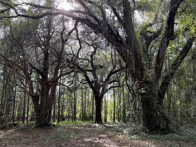 TBD NW 160TH ST, Reddick, FL 32686