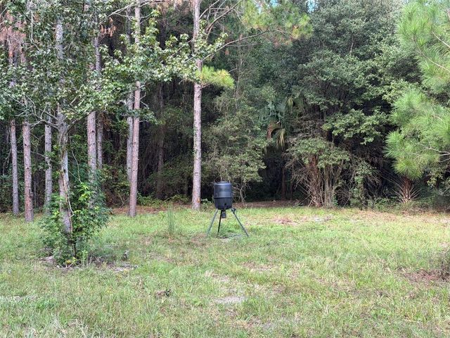 TBD NW 160TH ST, Reddick, FL 32686