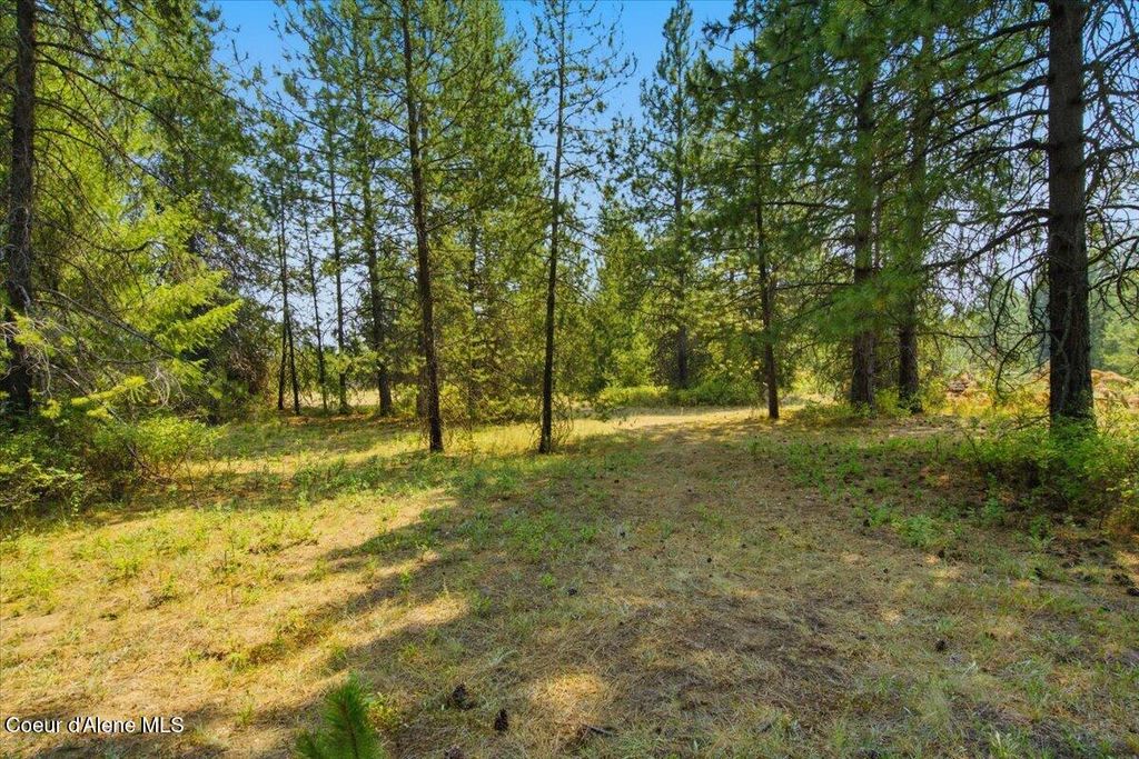 NKA lot 1 W Nash Rd, Spirit Lake, ID 83869 photo 4