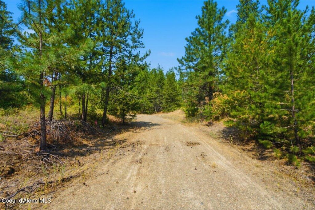 NKA lot 1 W Nash Rd, Spirit Lake, ID 83869 photo 5