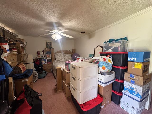 302 N O'Tyson, Mt Pleasant, TX 75455
