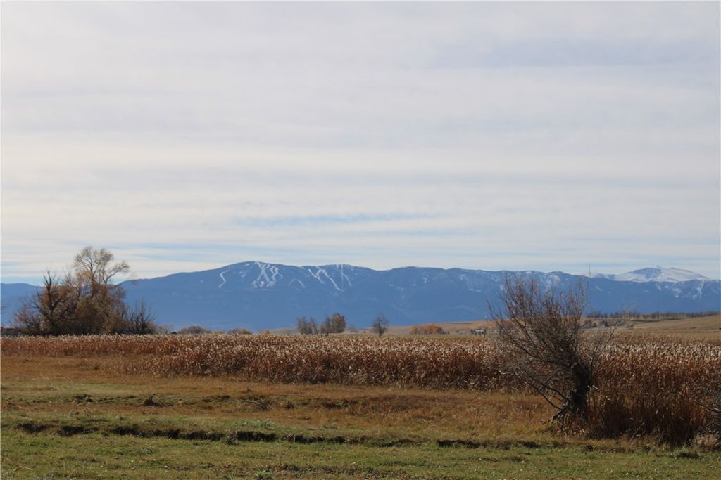 123 Maki Johnson ROAD, Roberts, MT 59070 photo 34