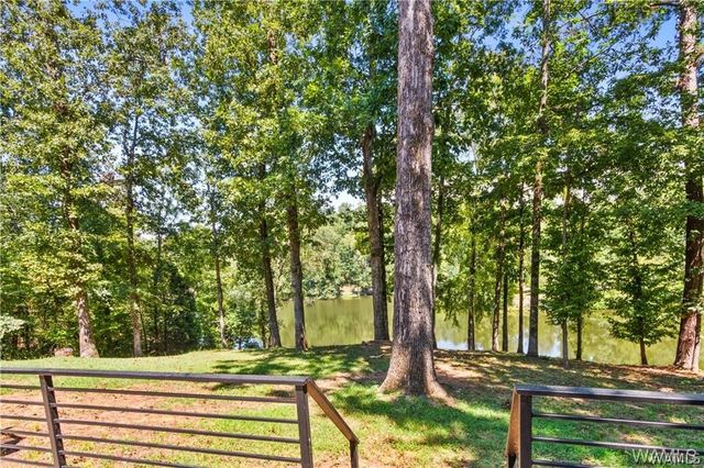 10802 Mallard Lake, Cottondale, AL 35453
