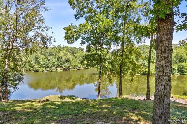 10802 Mallard Lake, Cottondale, AL 35453