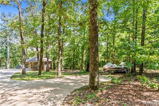 10802 Mallard Lake, Cottondale, AL 35453