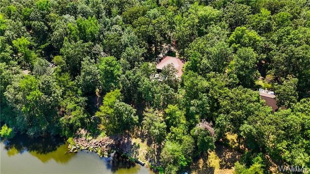 10802 Mallard Lake, Cottondale, AL 35453