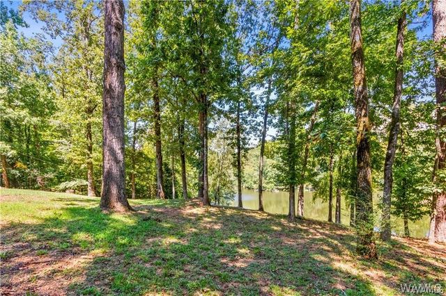 10802 Mallard Lake, Cottondale, AL 35453
