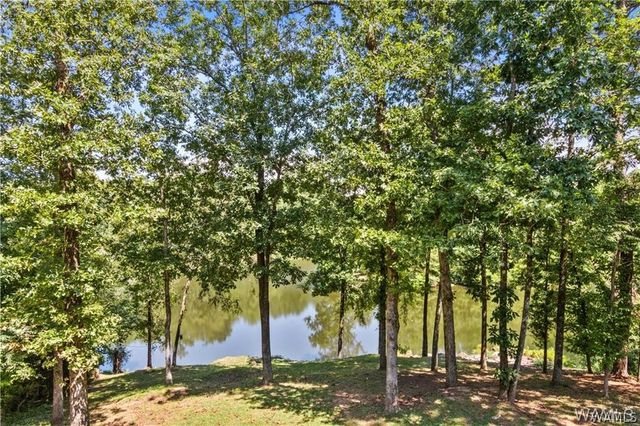 10802 Mallard Lake, Cottondale, AL 35453
