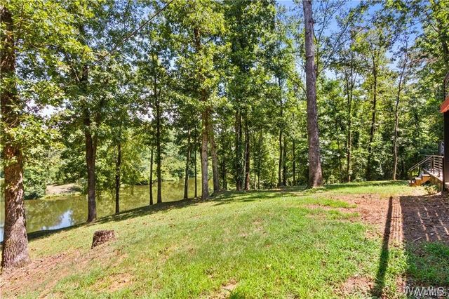10802 Mallard Lake, Cottondale, AL 35453