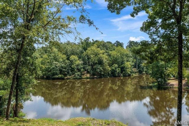 10802 Mallard Lake, Cottondale, AL 35453