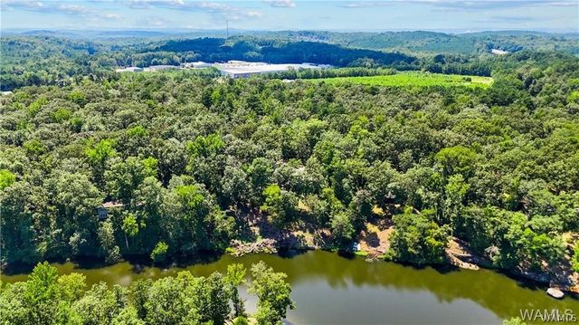 10802 Mallard Lake, Cottondale, AL 35453