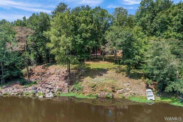 10802 Mallard Lake, Cottondale, AL 35453