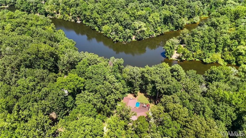 10802 Mallard Lake, Cottondale, AL 35453