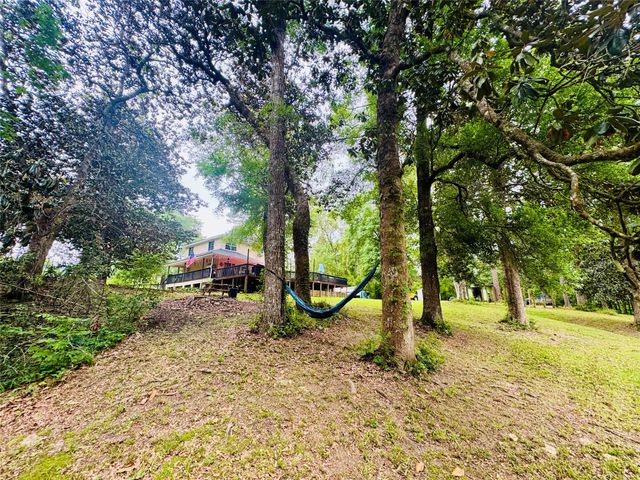 954 Hillbilly Heaven Road, Livingston, TX 77351