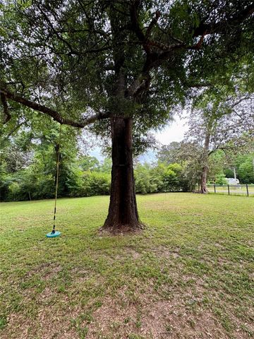 954 Hillbilly Heaven Road, Livingston, TX 77351