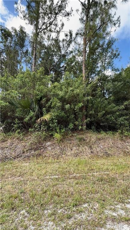 2830 NE 70TH AVE, NAPLES, FL 34120 — photo 3