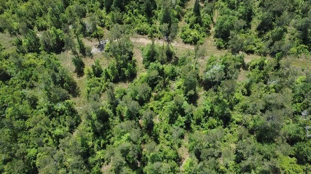 TBD Kelly Rd Road, Thicket, TX 77374