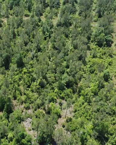 TBD Kelly Rd Road, Thicket, TX 77374