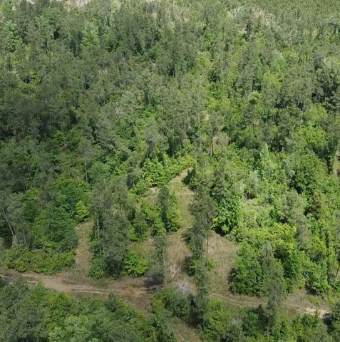 TBD Kelly Rd Road, Thicket, TX 77374