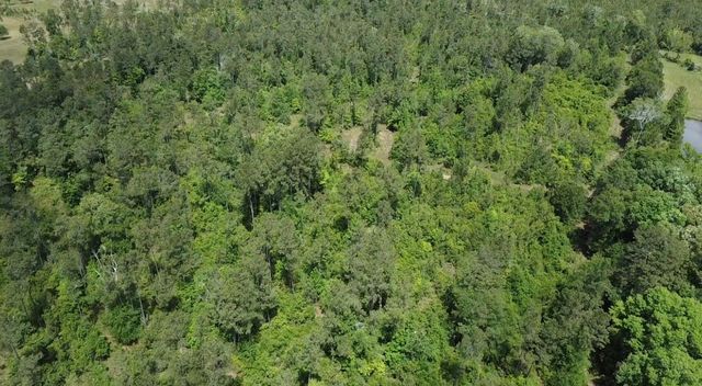 TBD Kelly Rd Road, Thicket, TX 77374