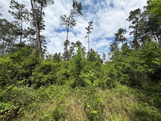 TBD Kelly Rd Road, Thicket, TX 77374